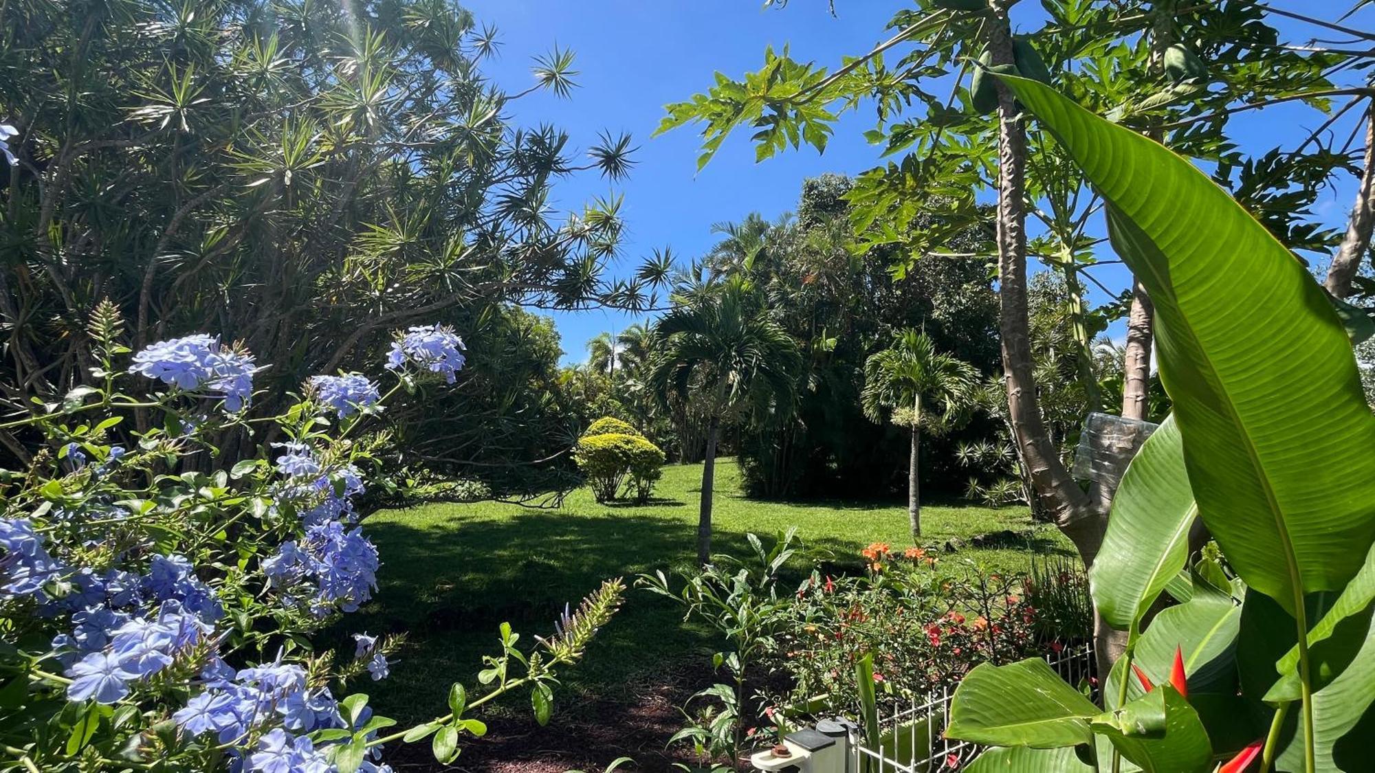 Le Jardin Kerveguen, Calme, Confort Et Deco Unique, Mer A 8 Min, St Pierre-Tampon 400 Ле-Тампон Экстерьер фото